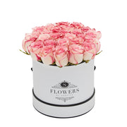 Elegance - Bicolour Pink Roses - Small / White / No Thanks - Elegance Bicolor Pink