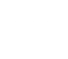Flowers by Sureyya