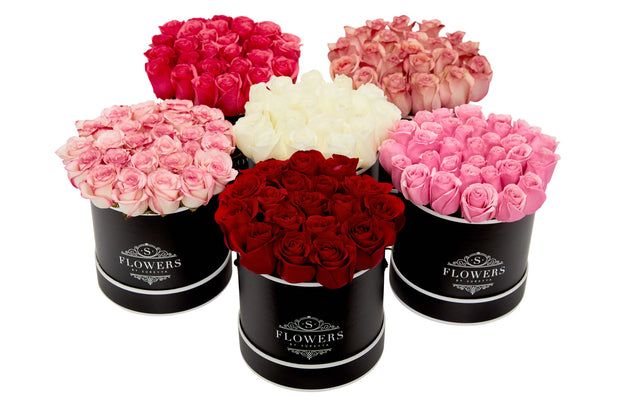 Elegance - Fresh Bicolour Pink Roses