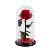 Red Enchanted Rose Domes