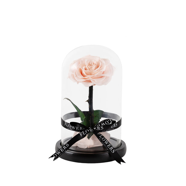 Pink Enchanted Rose Dome