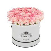 Elegance - Bicolour Pink Roses - Medium / White / Yes Please (FREE) - Elegance Bicolor Pink